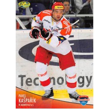 Kašpařík Pavel - 2012-13 OFS No.133