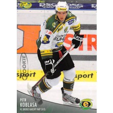 Koblasa Petr - 2012-13 OFS No.277