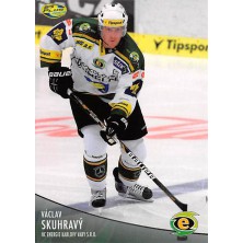 Skuhravý Václav - 2012-13 OFS No.283