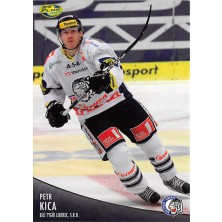 Kica Petr - 2012-13 OFS No.332