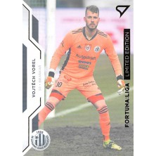 Vorel Vojtěch - 2020-21 SportZoo Fortuna:Liga Gold No.343